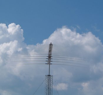 Picture of a SW log-periodic antenna